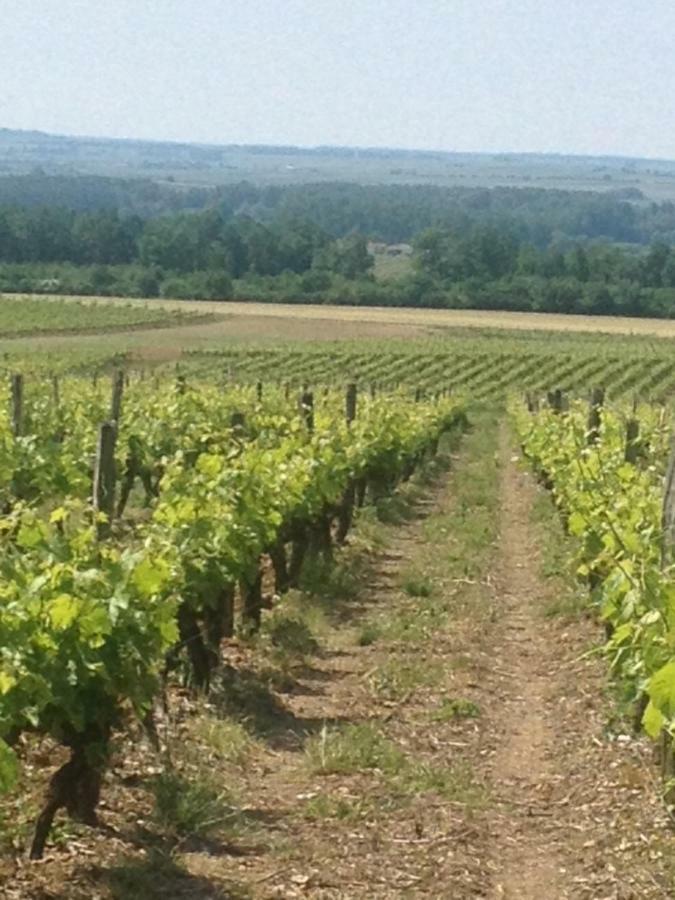 Gite Du Calme 3 Star Bed & Breakfast Cognac Cherac Bagian luar foto